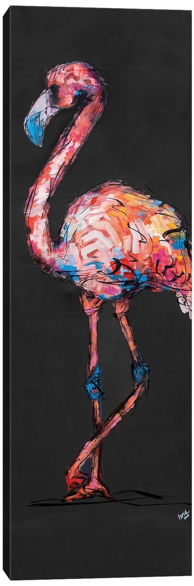 Flossie The Flamingo Canvas Art Print