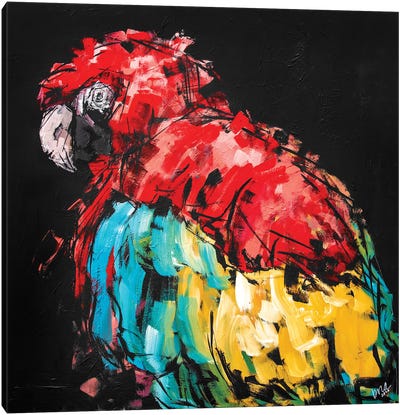 Rico The Macaw Canvas Art Print - Macaw Art