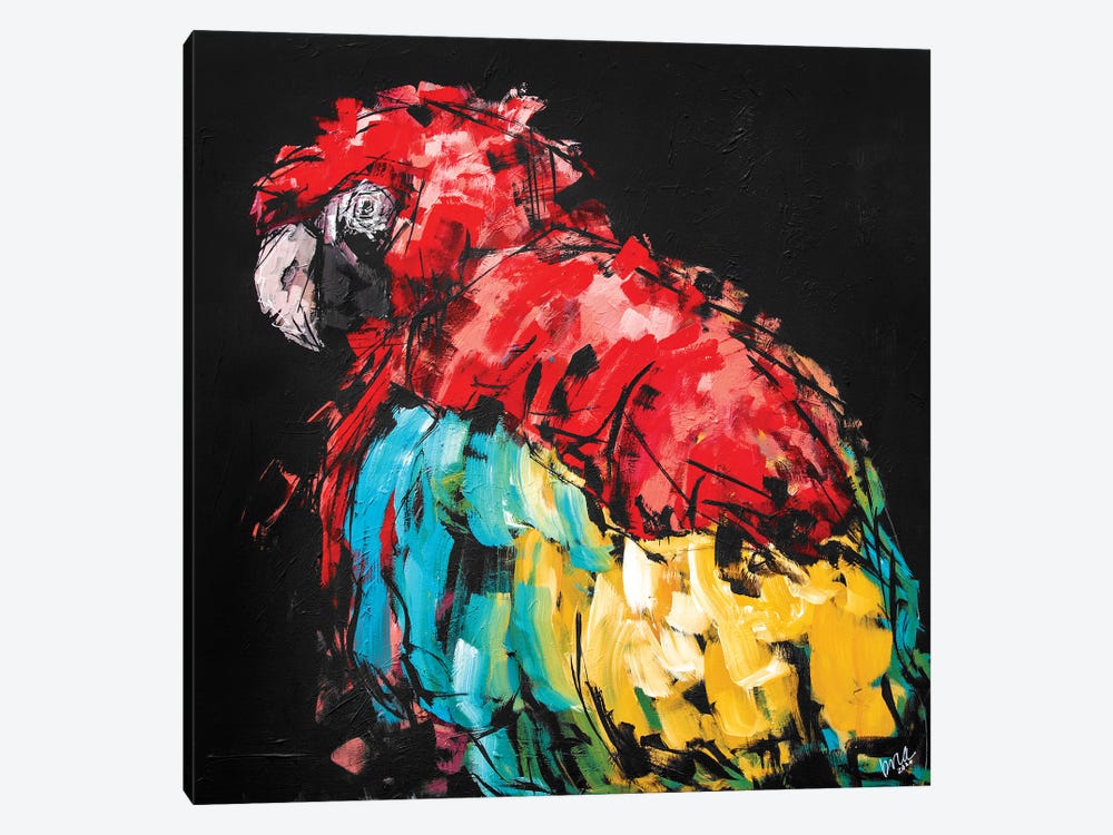 Rico The Macaw by Bria Hammock 1-piece Canvas Wall Art