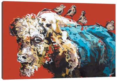 Omar The Bison Canvas Art Print - Bria Hammock