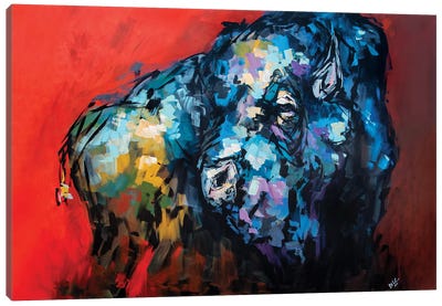 Wally The Bison Canvas Art Print - Bria Hammock