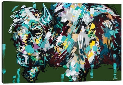 Denise The Bison Canvas Art Print - Bria Hammock