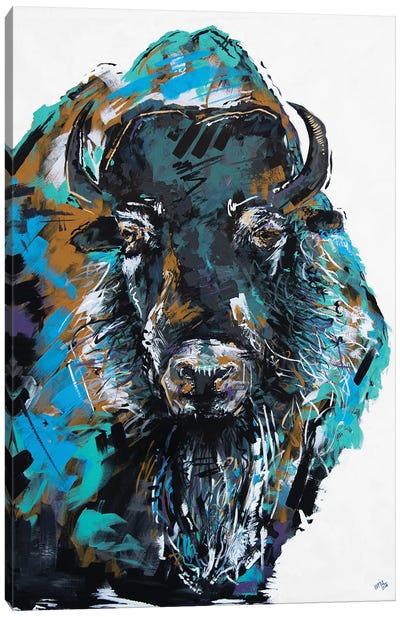 Fiona The Bison Canvas Art Print - Bison & Buffalo Art