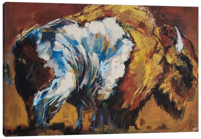 Wilson The Bison Canvas Art Print - Bria Hammock