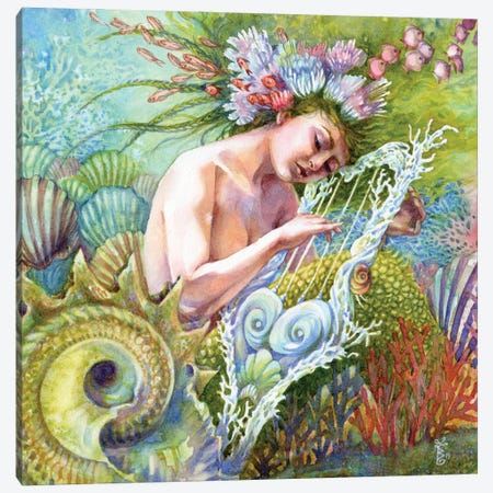 Coral Hymns Mermaid Canvas Print #BIE16} by Sara Burrier Canvas Art