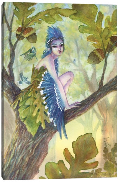 Oakley Fairy Canvas Art Print - Sara Burrier