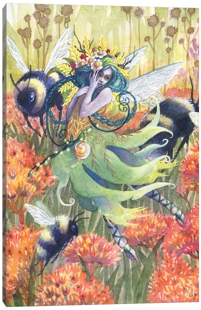 Prairie Pollinators Fairy Canvas Art Print - Sara Burrier
