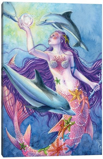 Sea Star Princess Mermaid Canvas Art Print - Dolphin Art