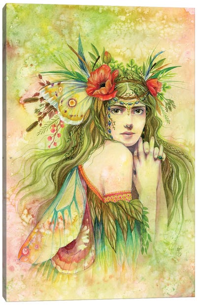 Spring Fairy Canvas Art Print - Sara Burrier
