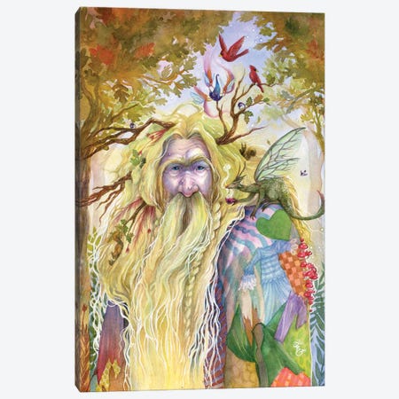 Willow And Oak Fairy Canvas Print #BIE85} by Sara Burrier Canvas Art Print