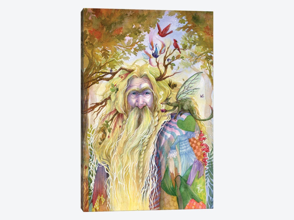 Willow And Oak Fairy by Sara Burrier 1-piece Canvas Artwork
