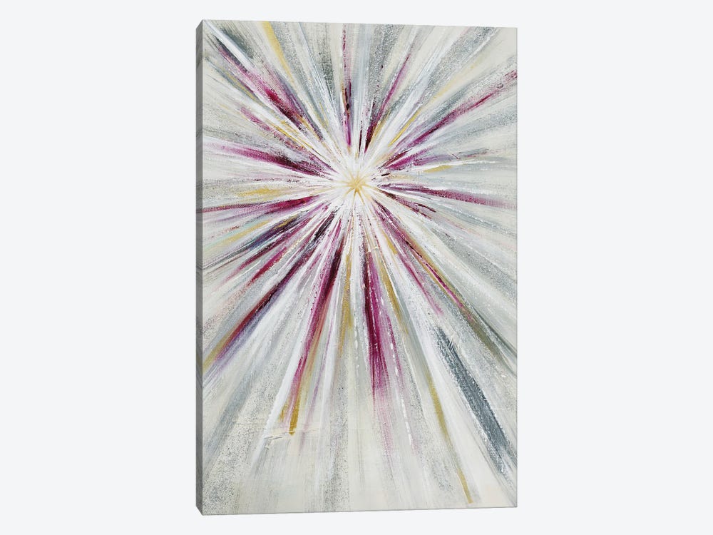 Starburst Fuschia Pink IV by Angela Bisson 1-piece Canvas Artwork