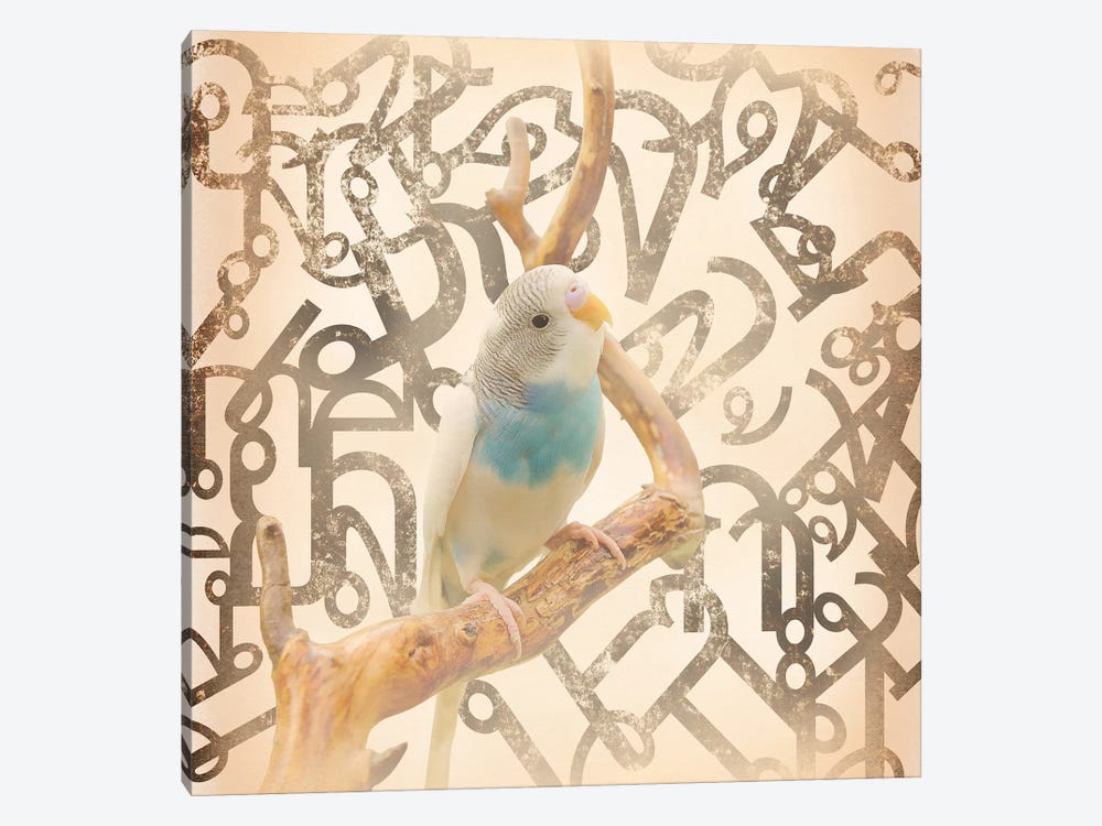 Long Tail Budgie by 5by5collective 1-piece Canvas Art Print