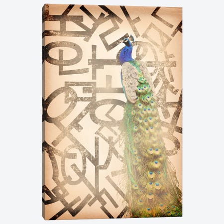 Proud and Gentle Peacock Canvas Print #BITW2} by 5by5collective Canvas Print
