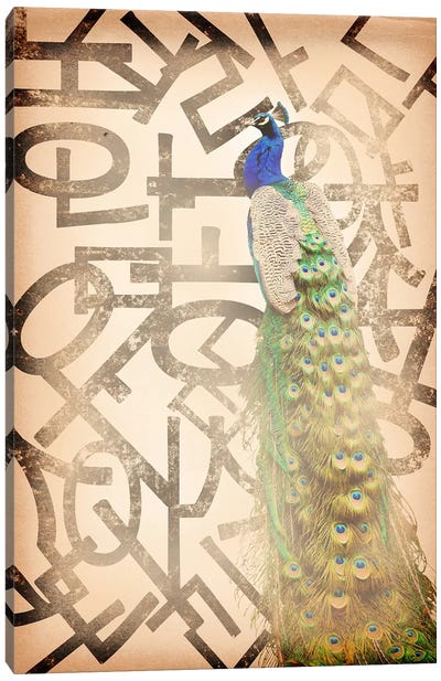 Proud and Gentle Peacock Canvas Art Print - The Bird is the Word