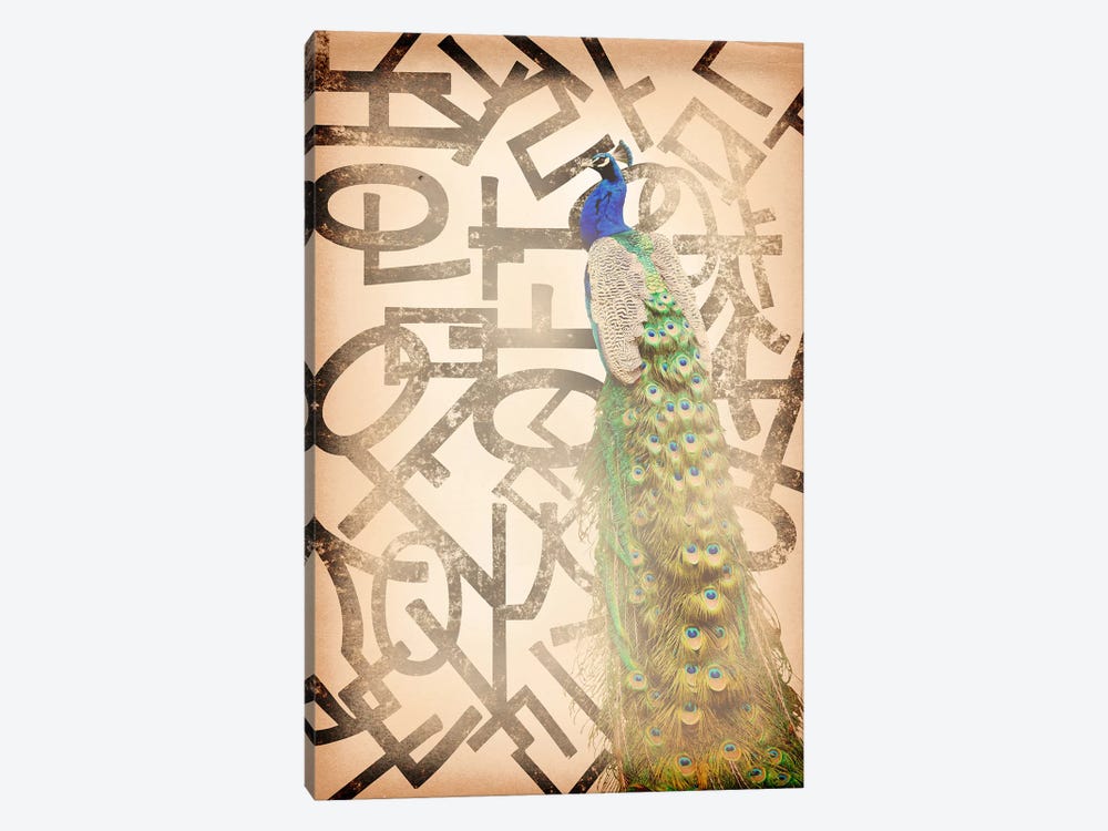 Proud and Gentle Peacock by 5by5collective 1-piece Canvas Wall Art