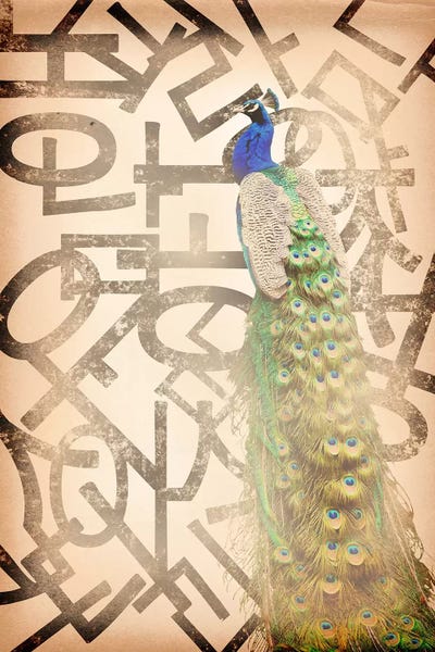 Peacocks: Proud and Gentle Peacock by 5by5collective