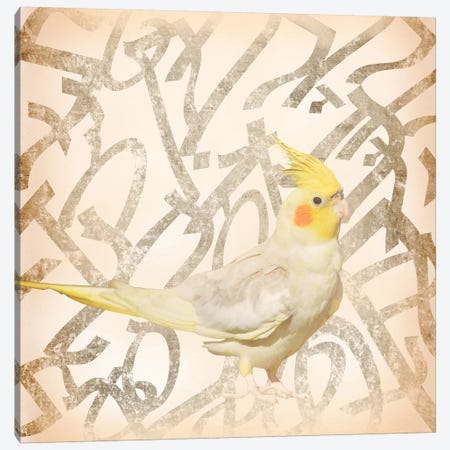 Royal Crested Cockatiel Canvas Print #BITW3} by 5by5collective Canvas Print