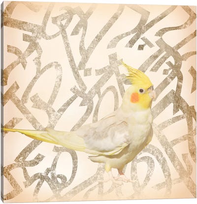 Royal Crested Cockatiel Canvas Art Print - The Bird is the Word