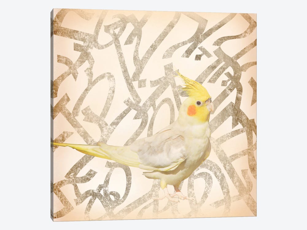 Royal Crested Cockatiel by 5by5collective 1-piece Canvas Art Print