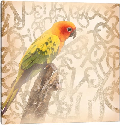 Social Sunburst Conure Canvas Art Print - The Bird is the Word