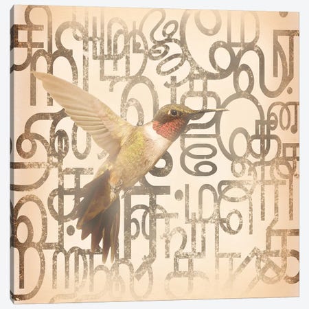 Speedy Winged Hummingbird Canvas Print #BITW5} by 5by5collective Canvas Wall Art