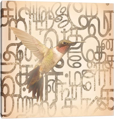 Speedy Winged Hummingbird Canvas Art Print - The Bird is the Word