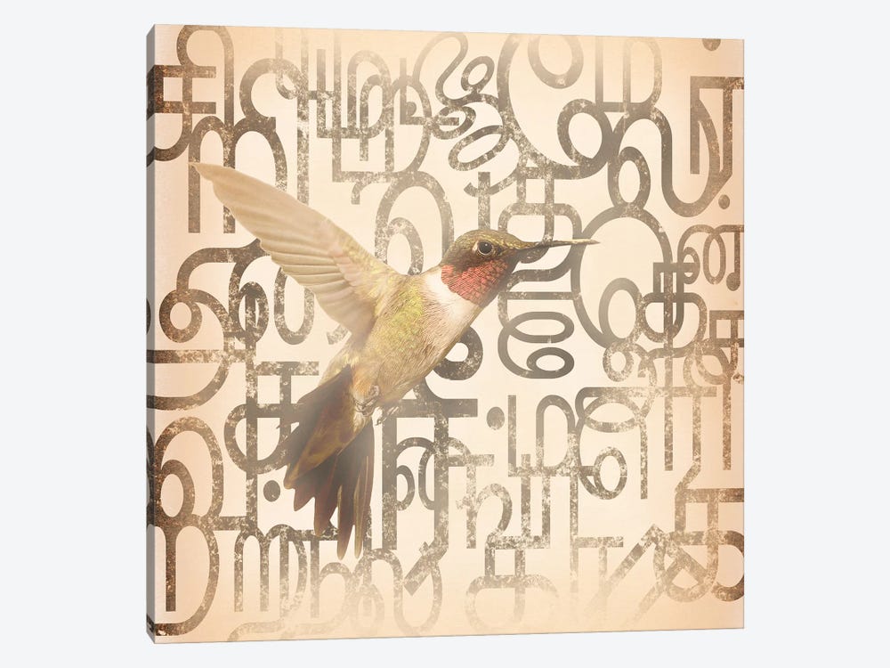 Speedy Winged Hummingbird by 5by5collective 1-piece Canvas Art Print