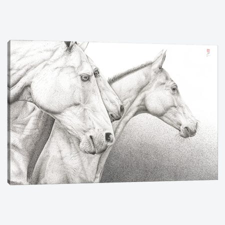Wild Horses Canvas Print #BIV11} by Bo N. Inthivong Canvas Artwork