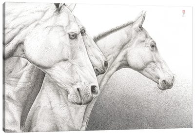 Wild Horses Canvas Art Print - Bo N. Inthivong
