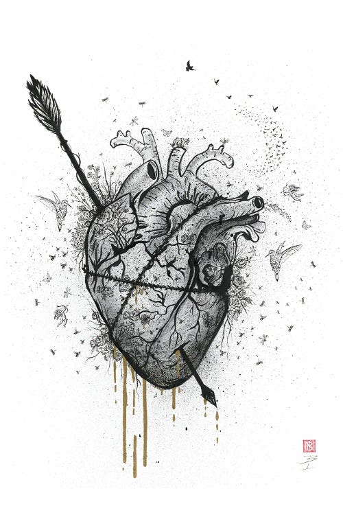 Broken Heart - Bleeding Heart Canvas Print
