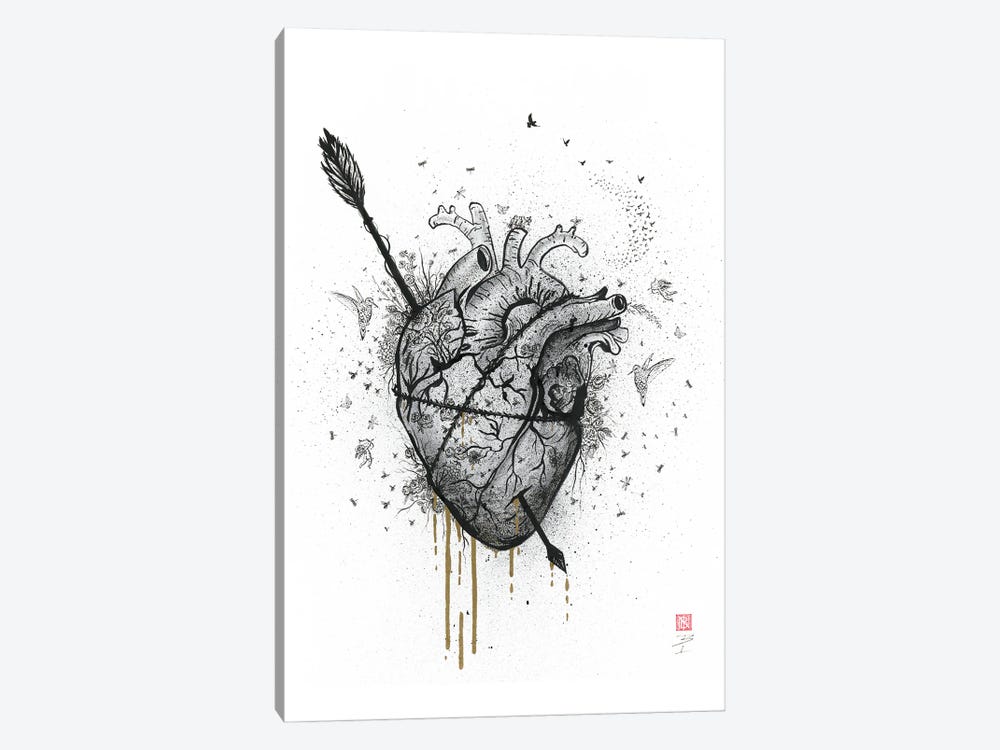 bleeding heart drawings