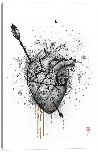 Bleeding Heart Canvas Art Print - Arrow Art
