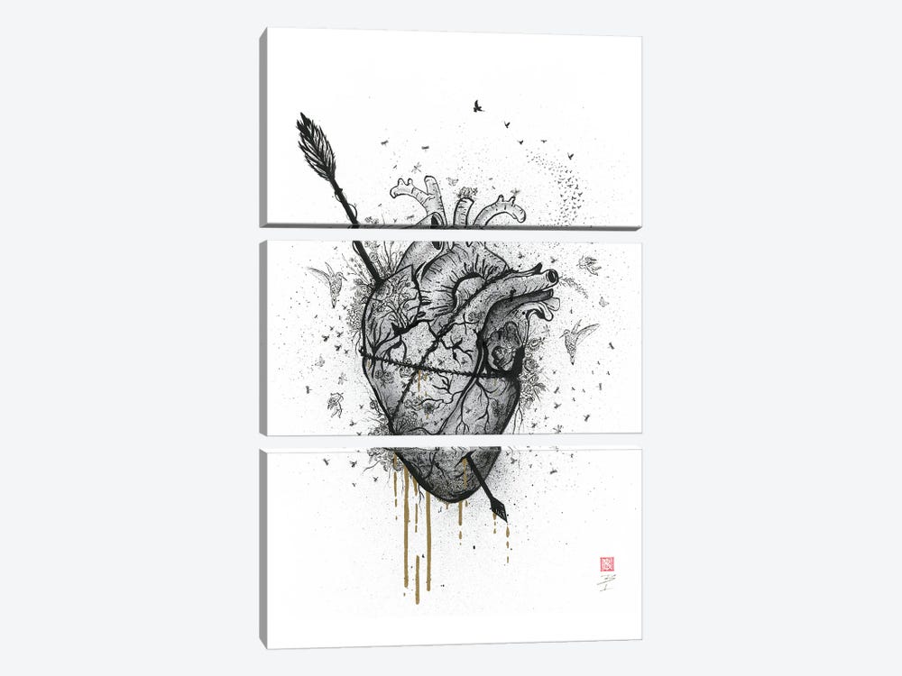 Bleeding Heart by Bo N. Inthivong 3-piece Canvas Art