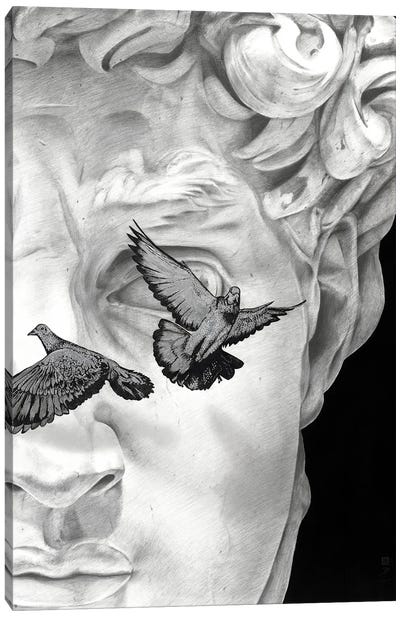 David And Pigeons Canvas Art Print - The Statue of David Reimagined