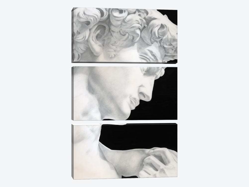 David by Bo N. Inthivong 3-piece Canvas Wall Art
