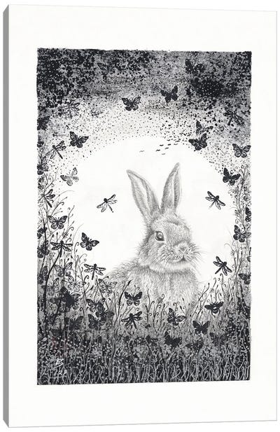 Bunny Moon Canvas Art Print - Dragonfly Art