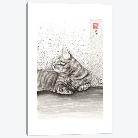 Cozy Cat Canvas Print #BIV20} by Bo N. Inthivong Canvas Art Print