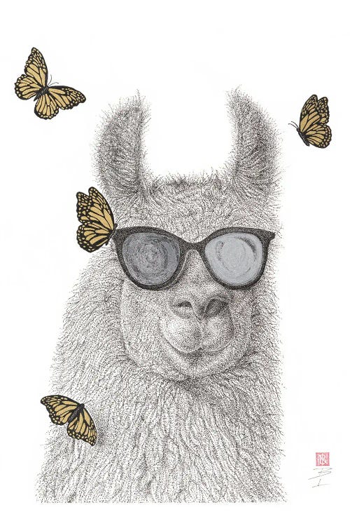 No Drama Llama