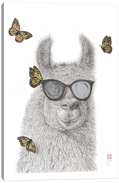 No Drama Llama Canvas Art Print - Llama & Alpaca Art