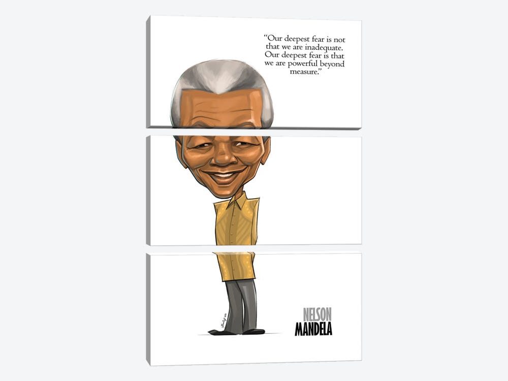 Nelson Mandela by Andrew Bailey 3-piece Art Print