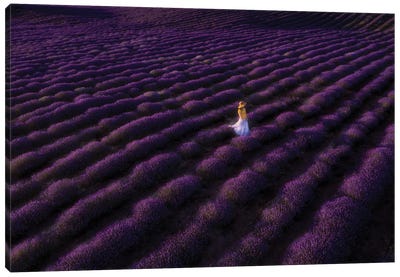 The Woman In Lavender Canvas Art Print