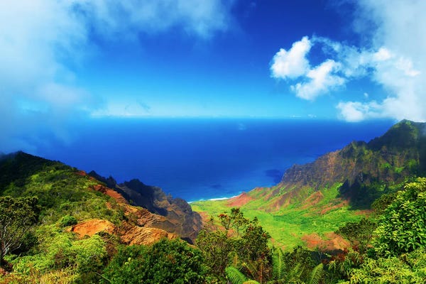 Benjamin Padgett: Koke'e Panoramic by Benjamin Padgett