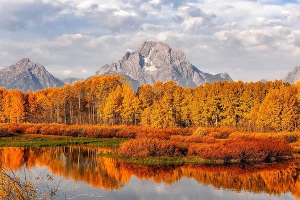 Benjamin Padgett: Mt. Moran Wall Of Color by Benjamin Padgett