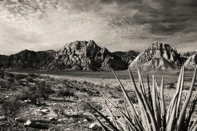 Red Rock In Sepia by Benjamin Padgett framed canvas print