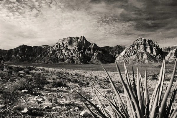 Red Rock In Sepia