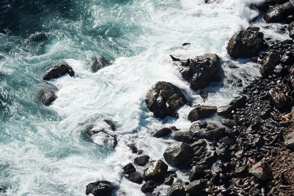 Rocky Beaches: Big Sur Seals by Benjamin Padgett