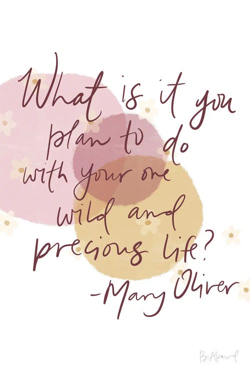 Mary Oliver Wild And Precious