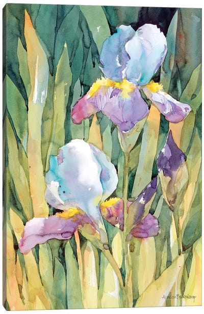 Beneath The Sun Canvas Art Print - Irises