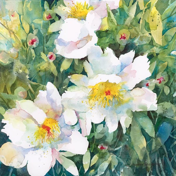 Peonies: Pristine Peonies by Annelein Beukenkamp